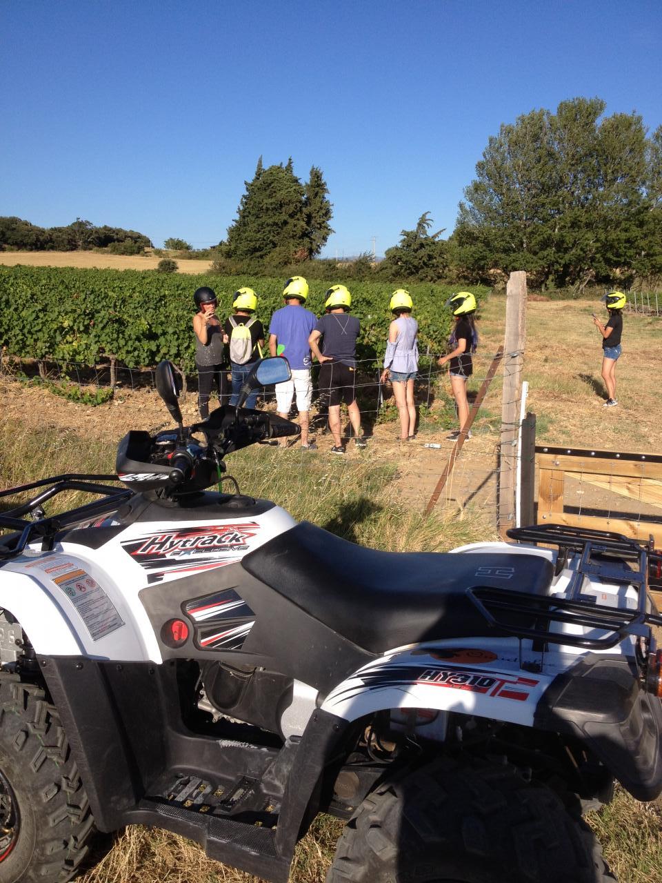 dans les vignes avec le domaine de Grangeneuve